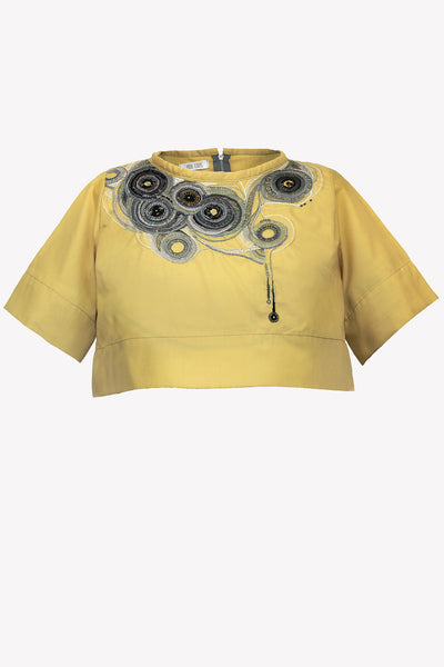 Crop top with hand embroidery