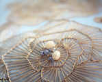 Sleeveless shirt with pleated basquine, gold embroidery & open back